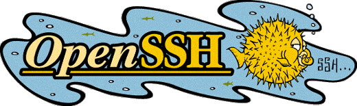 How to Install or Update OpenSSH in CentOS