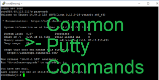 putty exe command line arguments