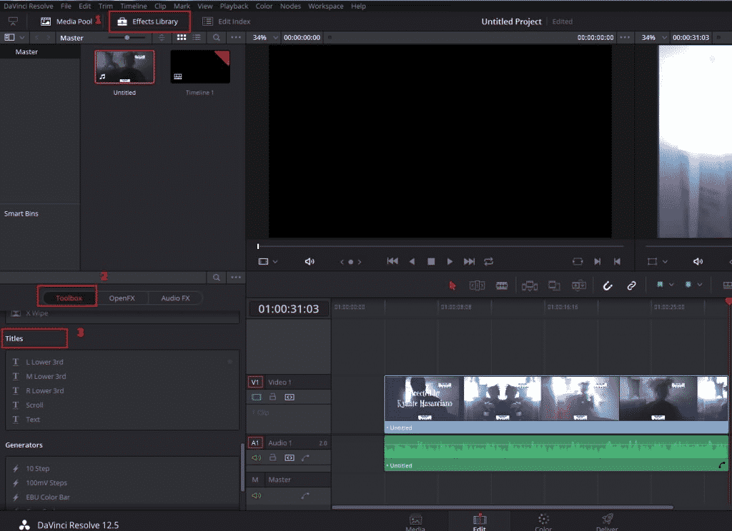 davinci resolve video editor formats