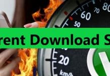 Torrent Download Sites