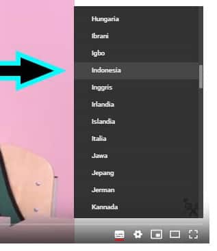 subtitle edit auto translate error youtube