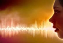 How to Encapsulating the Voice Encapsulating the Voice