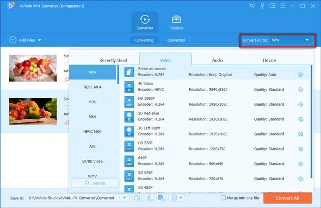 AVAideMP4 Converter formate