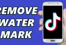 Smalltik – The Best Tool to Remove TikTok Watermark remove TikTok Watermark