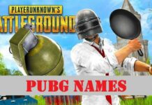 1000+ Funny & Stylish PUBG Names- Stylish Names, Cool Fonts, Symbols For PUBG 2025 PUGB Names