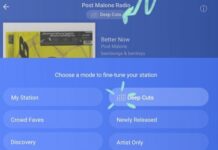 Download Pandora One Mod Apk Premium, Unlocked Plus, No Ads pandora mod apk
