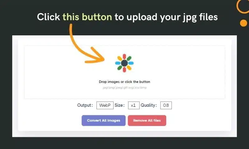 AnyWebP Tutorial: Convert JPG to WebP Online and Offline