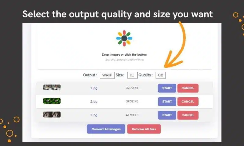 AnyWebP Tutorial: Convert JPG to WebP Online and Offline
