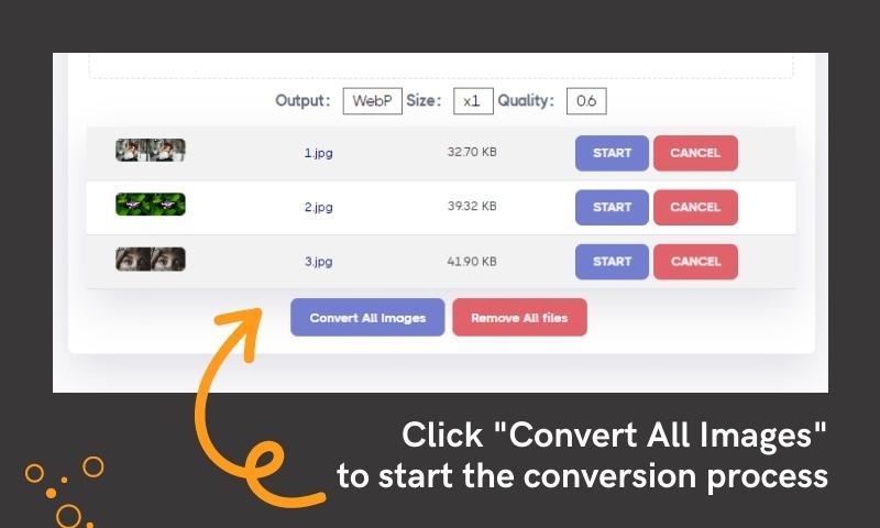 AnyWebP Tutorial: Convert JPG to WebP Online and Offline