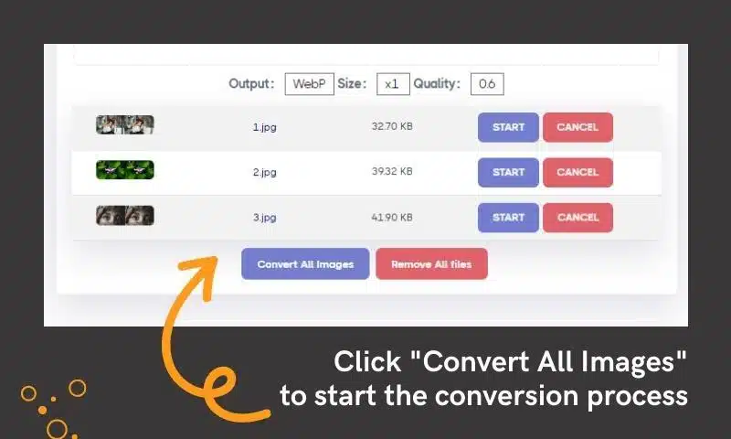 AnyWebP Tutorial: Convert JPG to WebP Online and Offline